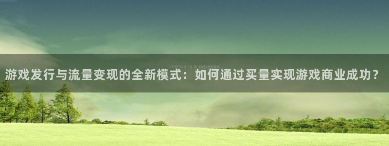 新宝GG技术有限公司招聘：游戏发行与流量变现的全新模式：如何通过买量实现游戏商业成功？