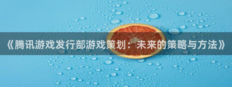 新宝GG环境：《腾讯游戏发行部游戏策划：未来的策略与方法》