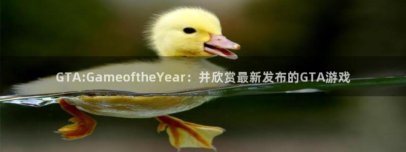 新宝GG集团是什么企业
