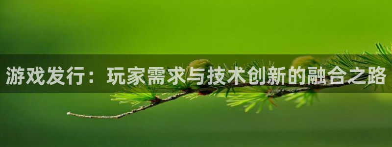 江苏新宝GG智得新材料：游戏发行：玩家需求与技术创新的融合之路