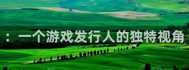 新宝GG官网注册方法视频：：一个游戏发行人的独特视角