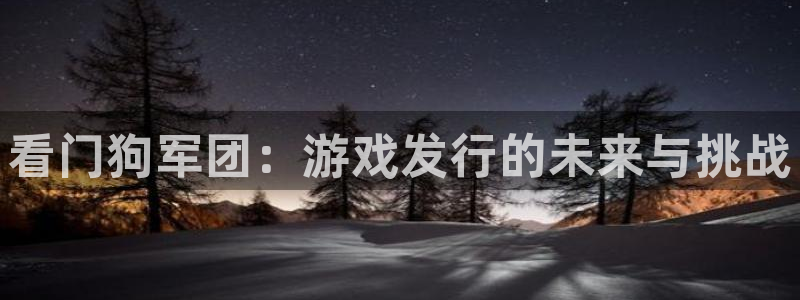 新宝GG科技股票：看门狗军团：游戏发行的未来与挑战