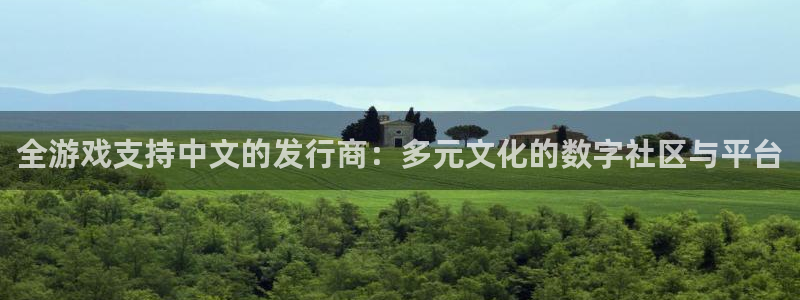 新宝GG官网平台招商qq：全游戏支持中文的发行商：多元文化的数字社区与平台