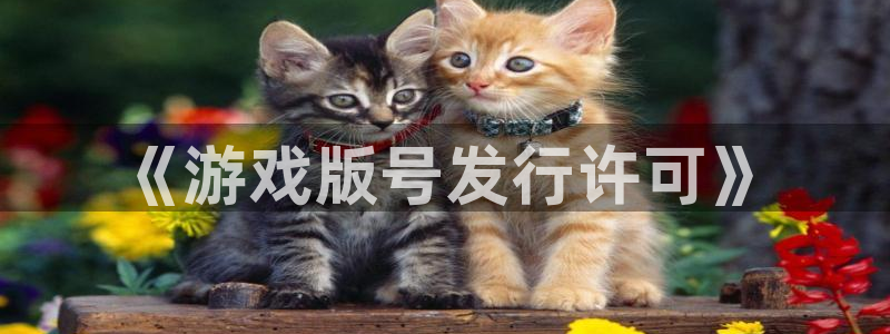 新宝GG官网注册地址在哪里啊：《游戏版号发行许可》