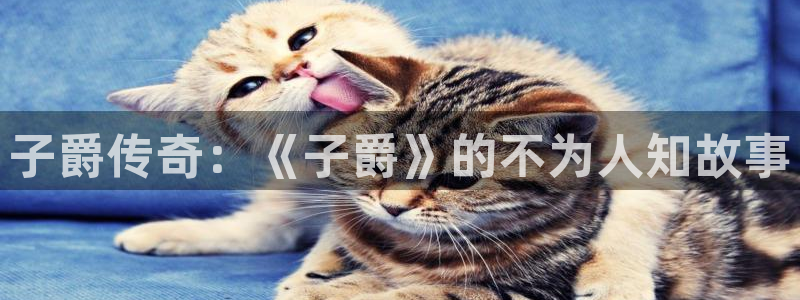 新宝GG品牌服装：子爵传奇：《子爵》的不为人知故事