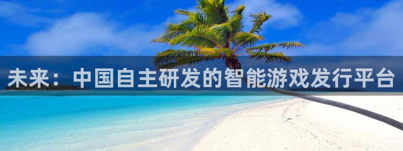 苏州新宝GG网络科技有限公司：未来：中国自主研发的智能游戏发行平台