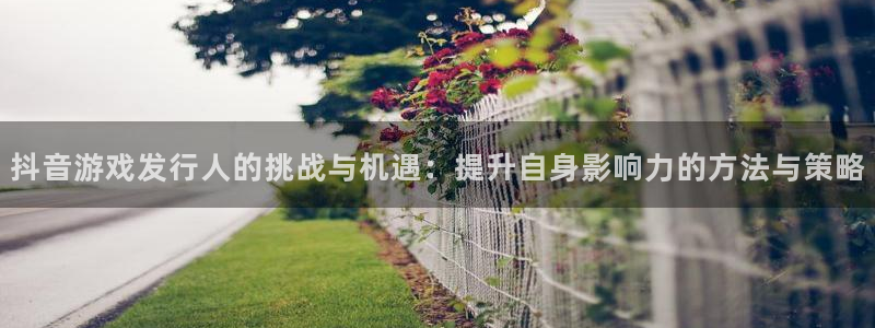 新宝GG官网注册平台登录：抖音游戏发行人的挑战与机遇：提升自身影响力的方法与策略