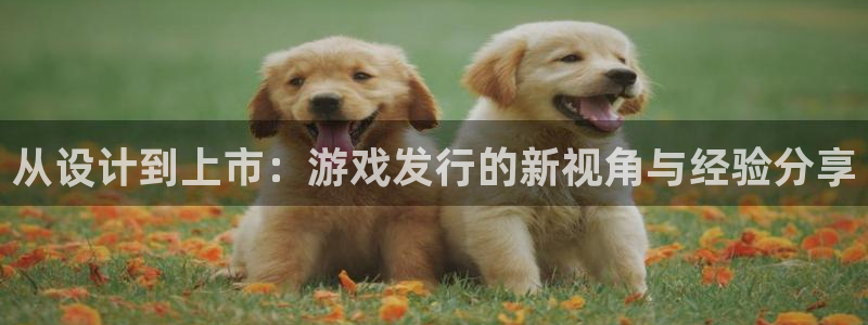 新宝GGlogo片头米高梅狮子：从设计到上市：游戏发行的新视角与经验分享