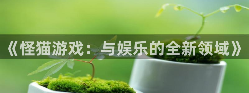 新宝GG官网注册登录：《怪猫游戏：与娱乐的全新领域》