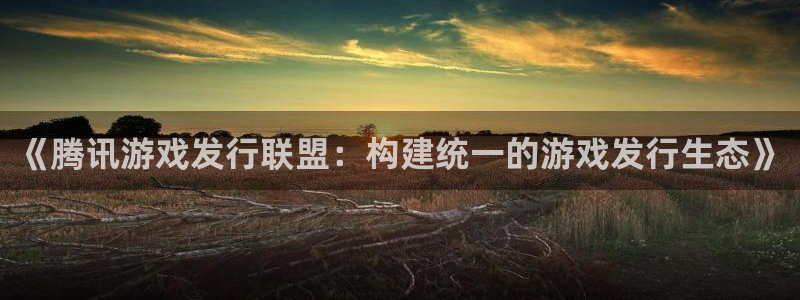 新宝GG官网分红：《腾讯游戏发行联盟：构建统一的游戏发行生态》