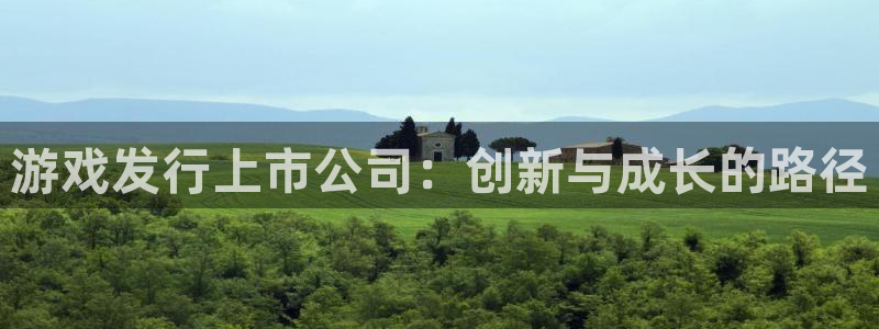 广东新宝GG电子商务有限公司：游戏发行上市公司：创新与成长的路径