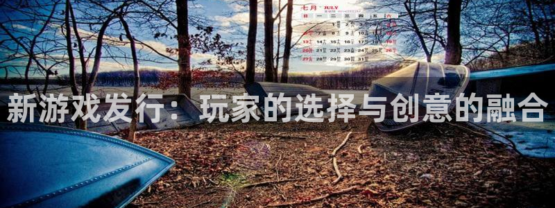 广州新宝GG网络科技有限公司招聘